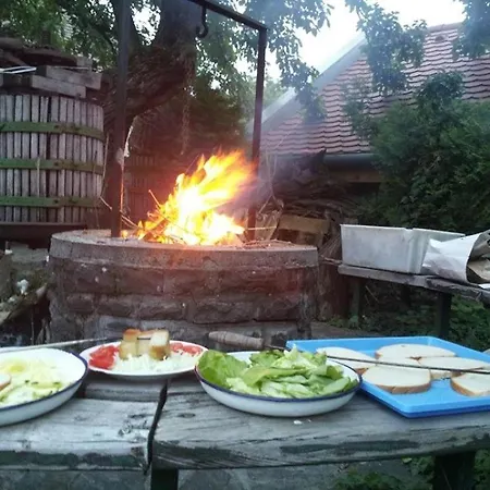 Nandi Vendeghaz, Nandi Magdi Vendeghaz *